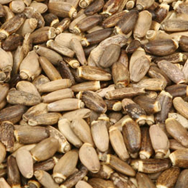 Ostropestřec mariánský 100g